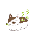 仲良しにゃんこ（個別スタンプ：25）