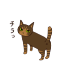 仲良しにゃんこ（個別スタンプ：29）