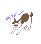 仲良しにゃんこ（個別スタンプ：31）