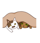 仲良しにゃんこ（個別スタンプ：36）