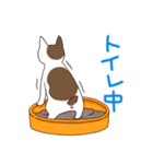 仲良しにゃんこ（個別スタンプ：38）