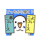 セキセイインコだらけ3（個別スタンプ：34）