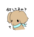 ダックスとシーズーのかわいい日常（個別スタンプ：11）