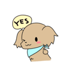 ダックスとシーズーのかわいい日常（個別スタンプ：19）