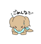 ダックスとシーズーのかわいい日常（個別スタンプ：21）