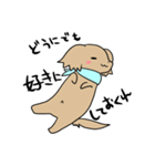 ダックスとシーズーのかわいい日常（個別スタンプ：23）