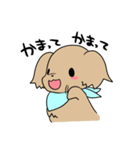 ダックスとシーズーのかわいい日常（個別スタンプ：24）