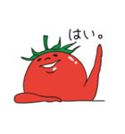 トマオ（個別スタンプ：1）