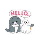 Kingkongcats（個別スタンプ：1）