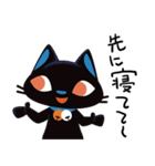 黒猫 レムちゃん（個別スタンプ：9）