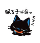 黒猫 レムちゃん（個別スタンプ：11）