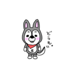 ハスキー犬 銀ちゃん（個別スタンプ：1）