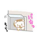 しょんぼりスコティッシュ（個別スタンプ：21）