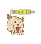 ネコ100％にゃんこ（個別スタンプ：4）