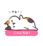 ふきだしにゃんこ！（個別スタンプ：1）