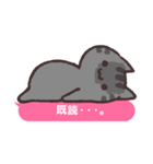 ふきだしにゃんこ！（個別スタンプ：11）