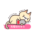 ふきだしにゃんこ！（個別スタンプ：13）