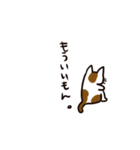 日常で使える！色んな柄の猫達。（個別スタンプ：9）