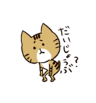 日常で使える！色んな柄の猫達。（個別スタンプ：12）