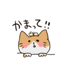 日常で使える！色んな柄の猫達。（個別スタンプ：22）