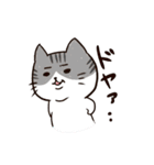日常で使える！色んな柄の猫達。（個別スタンプ：24）