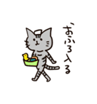 日常で使える！色んな柄の猫達。（個別スタンプ：29）