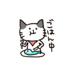日常で使える！色んな柄の猫達。（個別スタンプ：38）