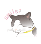 白黒猫にゃん（個別スタンプ：7）