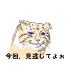 猫博士の見解（個別スタンプ：19）