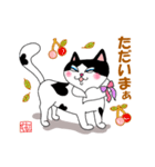 えりまき猫で受け答え（個別スタンプ：12）