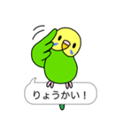 インコ と 文鳥 (ふきだし編)（個別スタンプ：9）