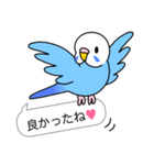 インコ と 文鳥 (ふきだし編)（個別スタンプ：24）