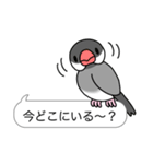 インコ と 文鳥 (ふきだし編)（個別スタンプ：27）