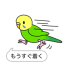 インコ と 文鳥 (ふきだし編)（個別スタンプ：28）