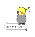 インコ と 文鳥 (ふきだし編)（個別スタンプ：31）