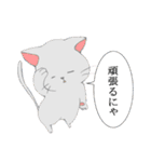 ほっこりにゃんこ（個別スタンプ：1）