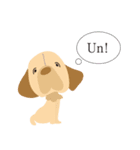 100dog 3（個別スタンプ：23）