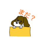 愛犬と私（個別スタンプ：13）