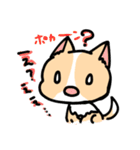 クッキーだわん（個別スタンプ：24）