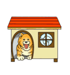 忠犬わんこスタンプ（個別スタンプ：2）