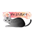 優美猫和柄ふきだし（個別スタンプ：39）