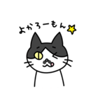 博多弁の白黒猫チョビ（個別スタンプ：1）