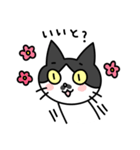 博多弁の白黒猫チョビ（個別スタンプ：6）