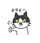 博多弁の白黒猫チョビ（個別スタンプ：7）