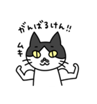 博多弁の白黒猫チョビ（個別スタンプ：12）