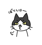 博多弁の白黒猫チョビ（個別スタンプ：14）