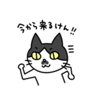 博多弁の白黒猫チョビ（個別スタンプ：23）