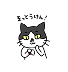 博多弁の白黒猫チョビ（個別スタンプ：24）