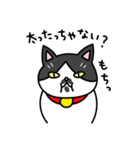 博多弁の白黒猫チョビ（個別スタンプ：30）