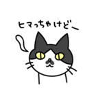 博多弁の白黒猫チョビ（個別スタンプ：33）